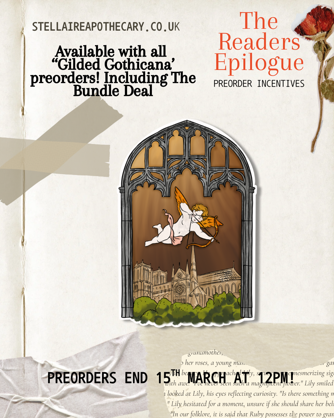 Chapter Two Bundle: The Readers Epilogue